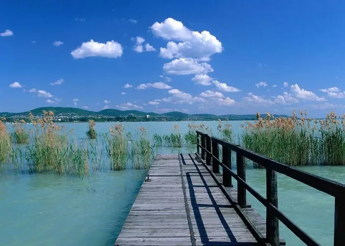 Joe בית אירוח *